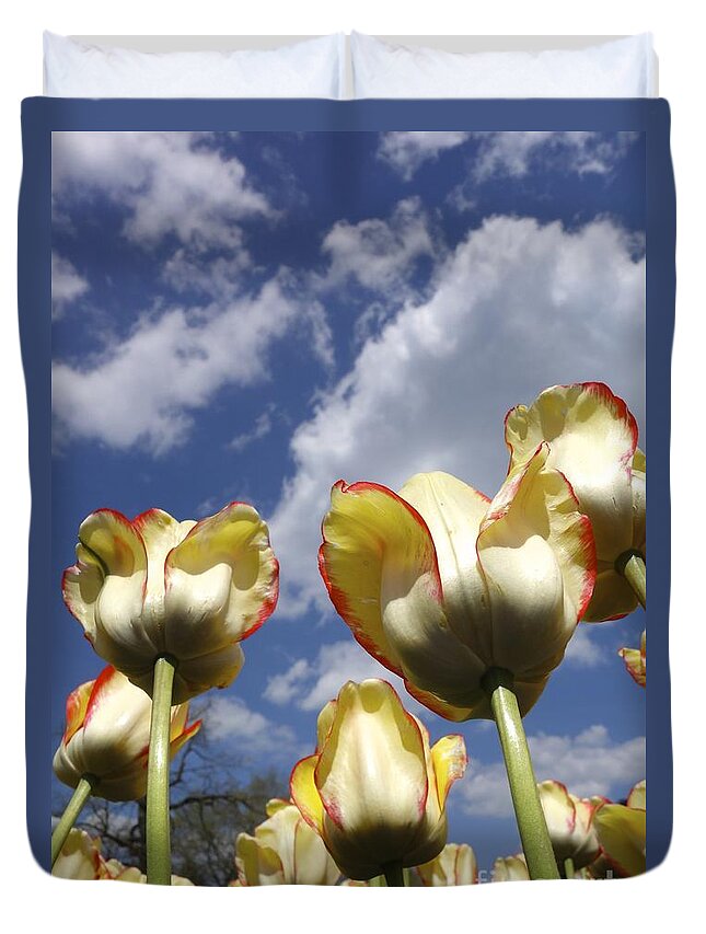 Budding Duvet Cover featuring the photograph Tulips and Clouds by Jacqueline Athmann