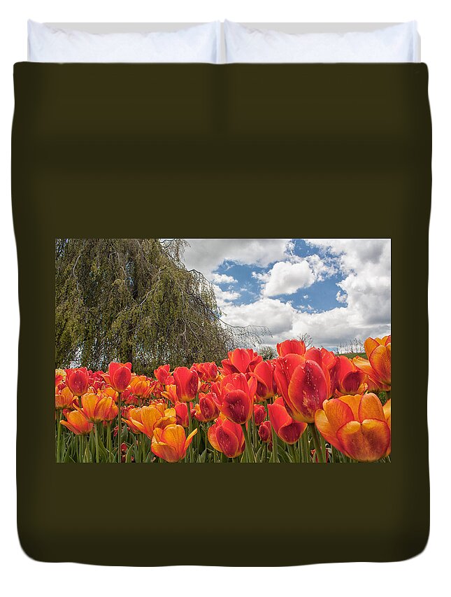 Tulip Duvet Cover featuring the photograph Tulips by Brian Caldwell