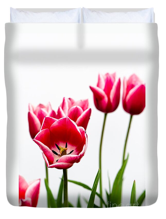  Duvet Cover featuring the photograph Tulips Say Hello by Michael Arend