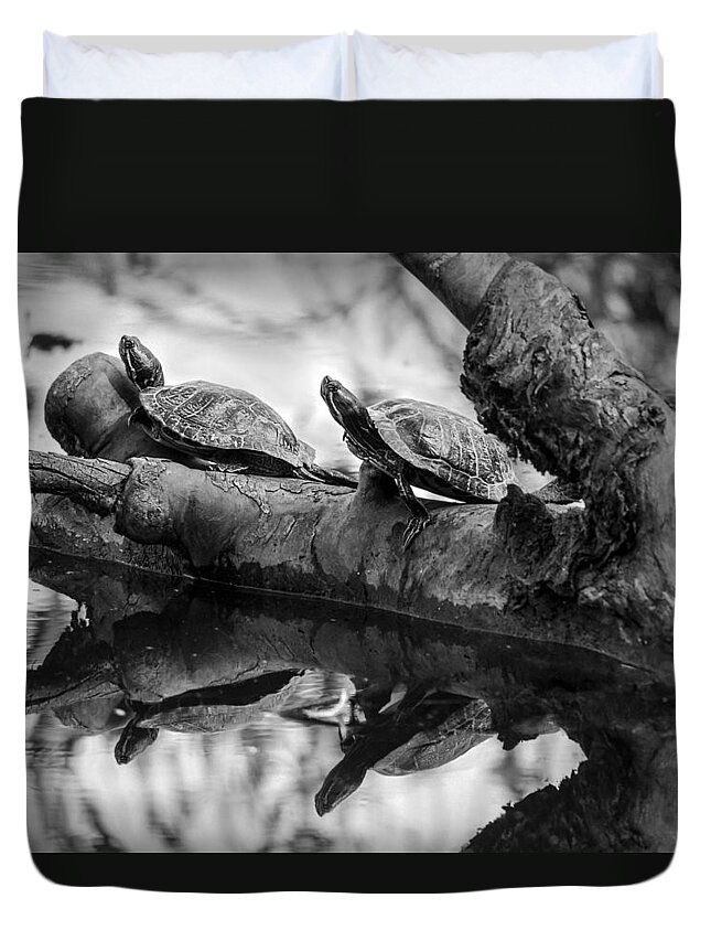 Turtles Duvet Cover featuring the photograph Turtle BFFs BW By Denise Dube by Denise Dube