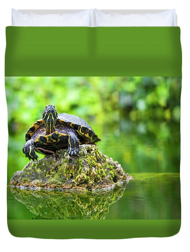 Tranquility Duvet Cover featuring the photograph Turtle On The Top by Picture By Tambako The Jaguar