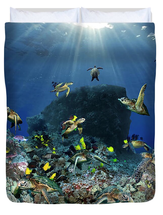 Marine Duvet Cover featuring the photograph Turtle pinnacle by Artesub