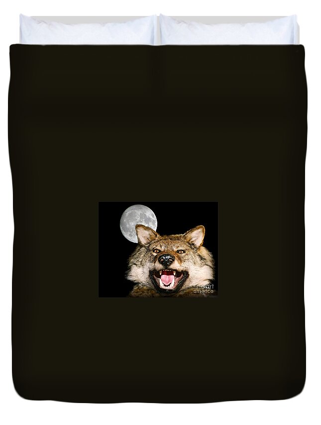 Twilight's Full Moon Duvet Cover featuring the photograph Twilight's Full Moon by Patrick Witz