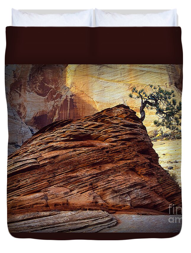 America Duvet Cover featuring the photograph Twisted Juniper by Inge Johnsson