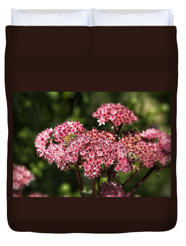 Honey Bees Duvet Cover featuring the photograph Two Bees on a Pink Blossom by Belinda Greb