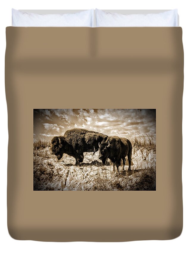 Photograph Duvet Cover featuring the photograph Two Buffalo by Richard Gehlbach