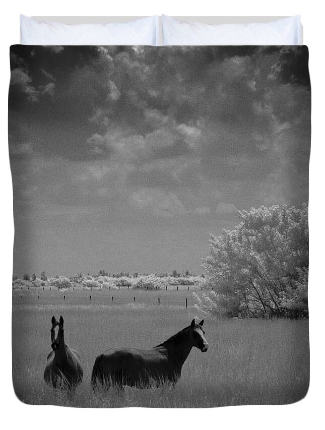 Horse Duvet Cover featuring the photograph Two Horses by Bradley R Youngberg