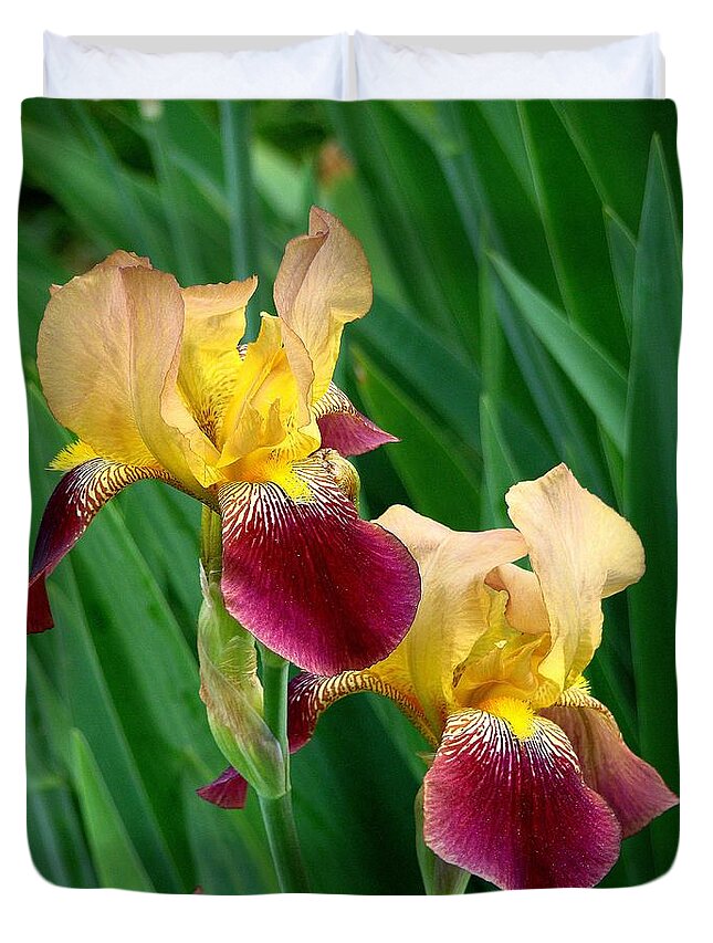 Fine Art Duvet Cover featuring the photograph Two Iris by Rodney Lee Williams