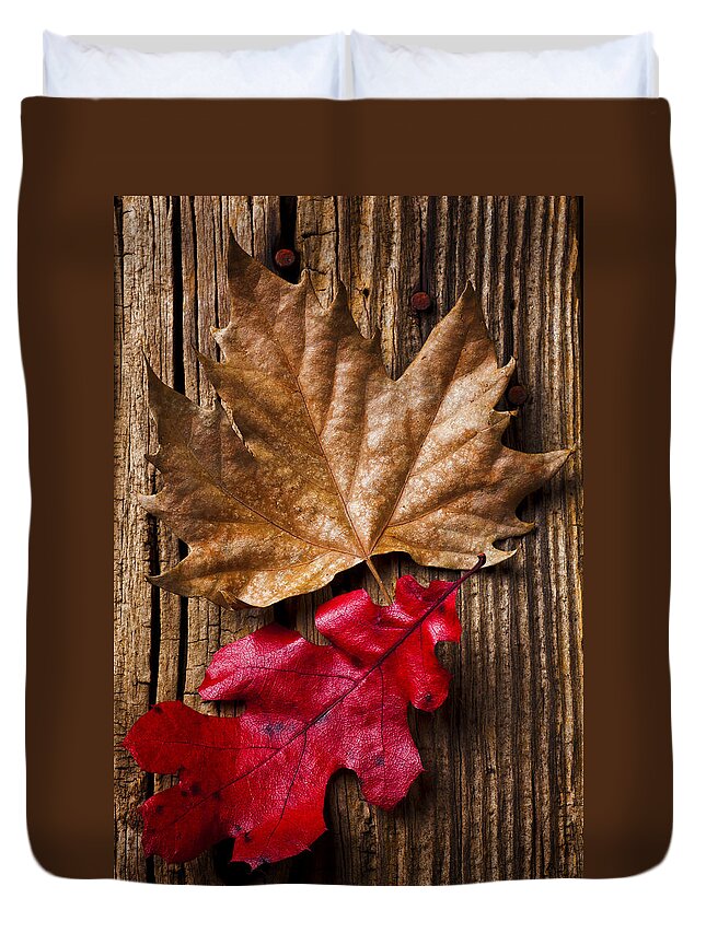 Two Duvet Cover featuring the photograph Two leafs by Garry Gay