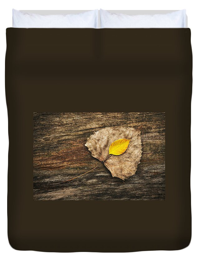 Leaf Duvet Cover featuring the photograph Two Leaves by Scott Norris