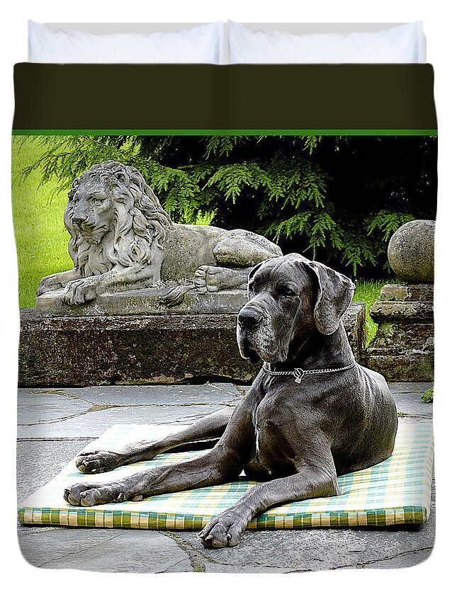 Dog Duvet Cover featuring the photograph Two Lions by Barbara Zahno