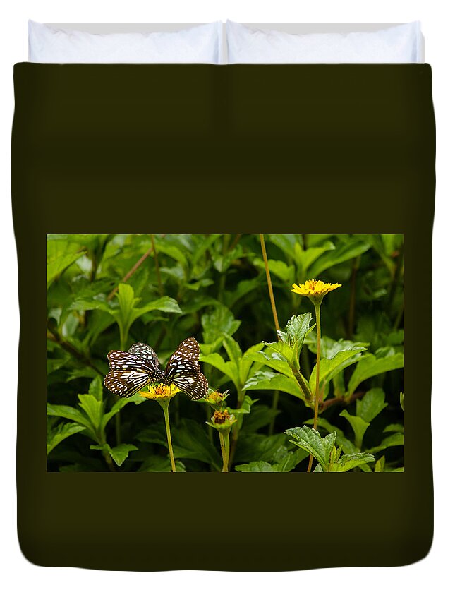 Blue Tiger Duvet Cover featuring the photograph Two on one - Butterfly - Blue Tiger by SAURAVphoto Online Store