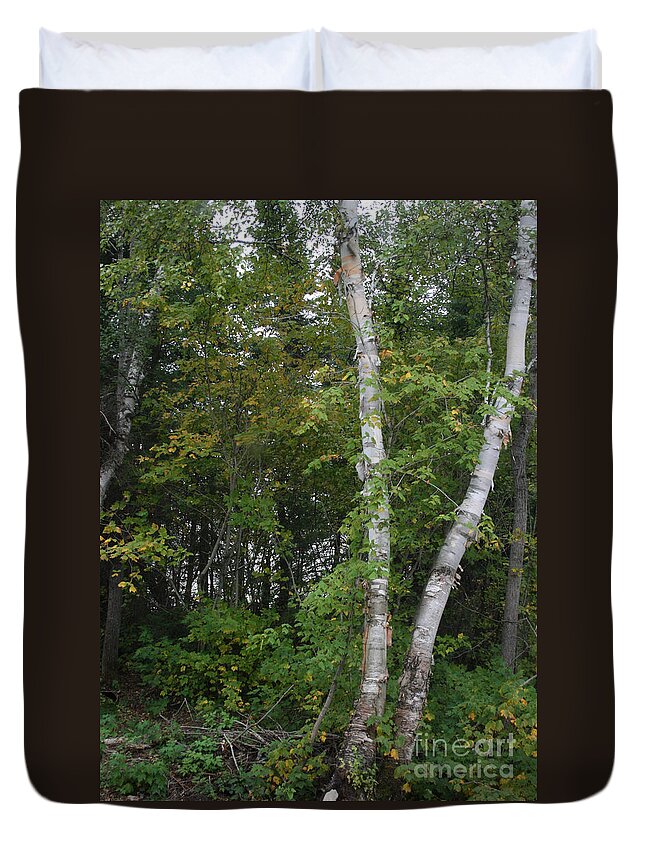 Nature Duvet Cover featuring the photograph Two Saplings by Mary Mikawoz