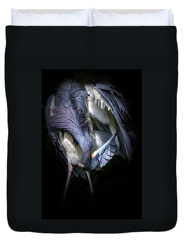 Tricolored Heron Duvet Cover featuring the photograph Under the Hood by Ghostwinds Photography
