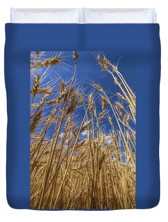 Kansas Duvet Cover featuring the photograph Under the Wheat by Rob Graham