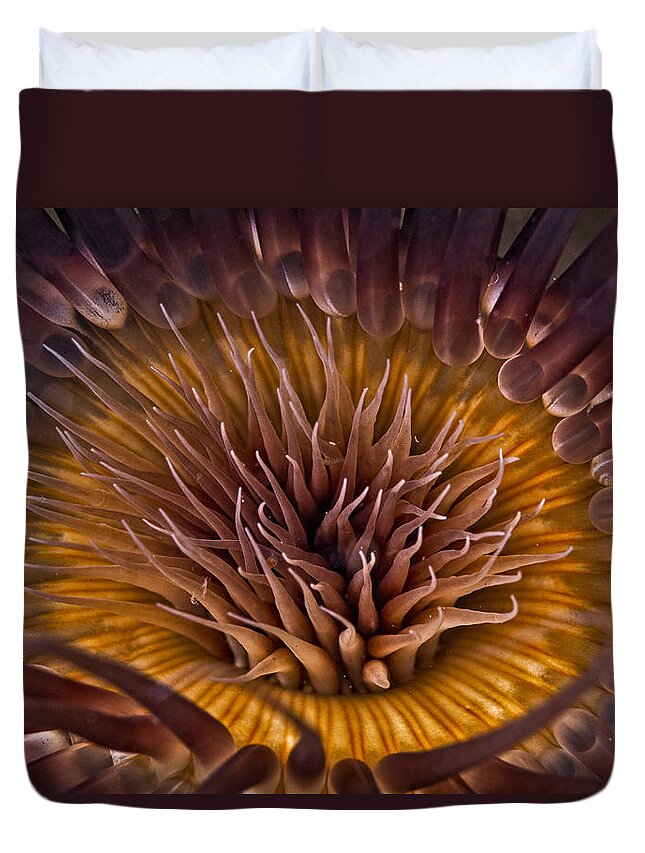 Tube Duvet Cover featuring the photograph Underwater Flower by Sandra Edwards
