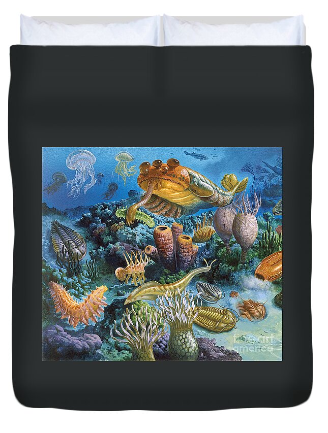 Illustration Duvet Cover featuring the photograph Underwater Paleozoic Landscape by Publiphoto