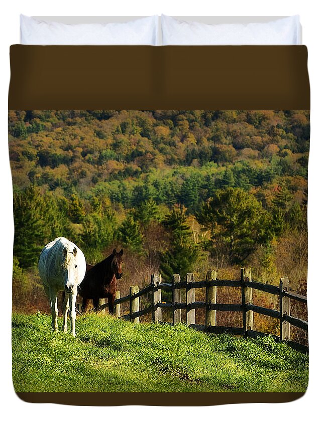 Flatlandsfoto Duvet Cover featuring the photograph Up The Hill by Joan Davis