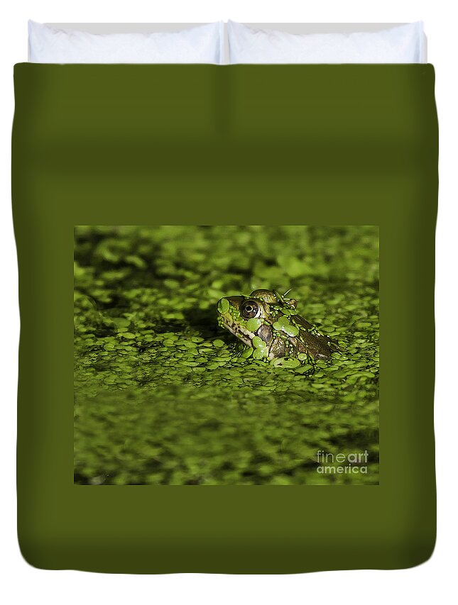 Frog Duvet Cover featuring the photograph Up to my Neck by Jan Killian
