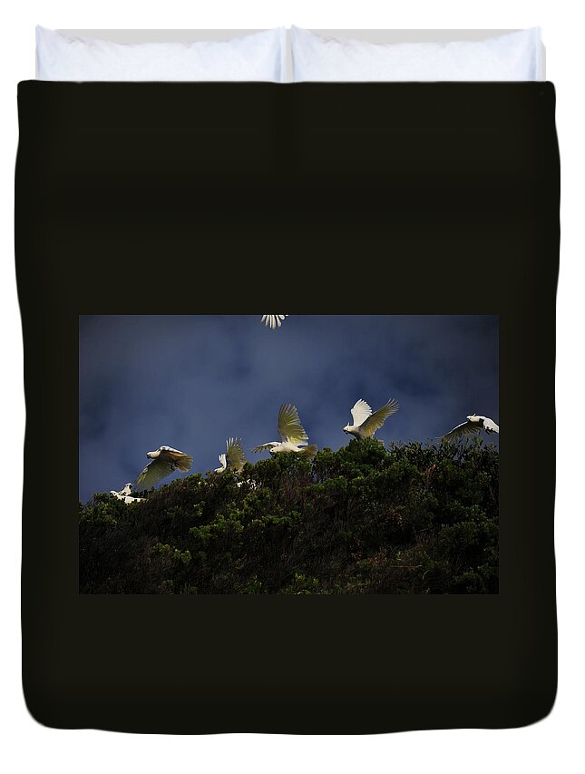 Acrylic Print Duvet Cover featuring the photograph Up Up and Away by Harry Spitz