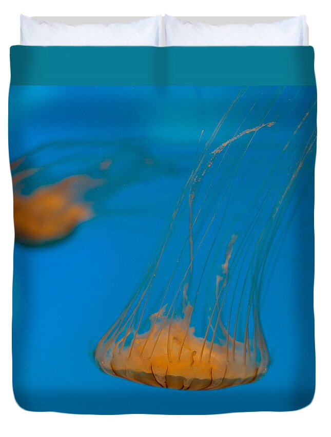 Jellyfish Duvet Cover featuring the photograph Upside Down Sea Nettle by Scott Campbell