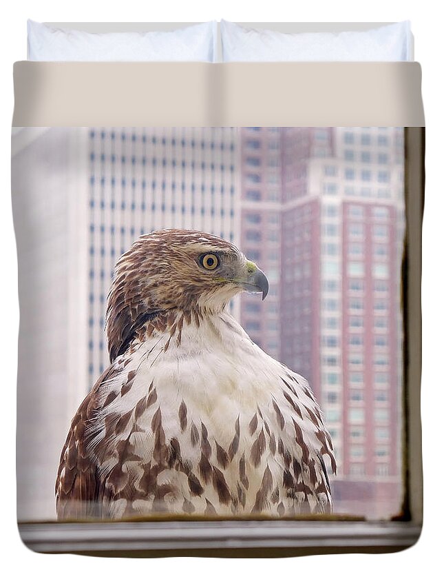Hawk Duvet Cover featuring the photograph Urban Red-tailed Hawk by Rona Black