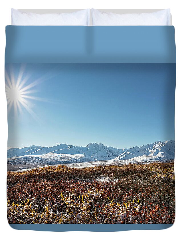 Scenics Duvet Cover featuring the photograph Usa, Alaska, Shrub In Front Of Alaska by Westend61