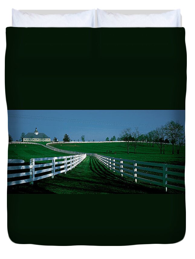Photography Duvet Cover featuring the photograph Usa, Kentucky, Lexington, Horse Farm by Panoramic Images