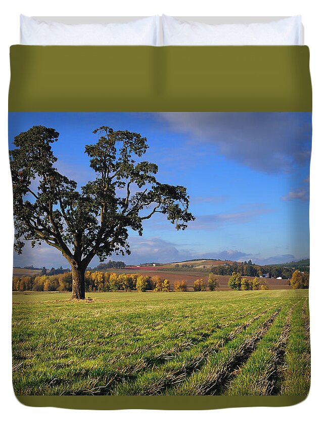 Scenics Duvet Cover featuring the photograph Usa, Oregon, Polk County, Oak Tree In by Gary Weathers