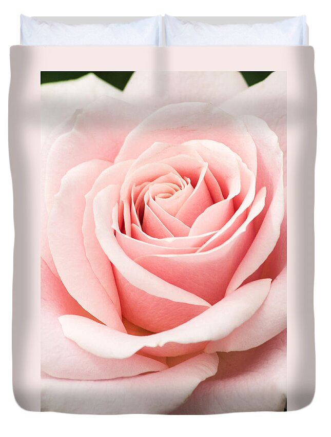 Flower Duvet Cover featuring the photograph Vertical Pink Rose by Don Johnson