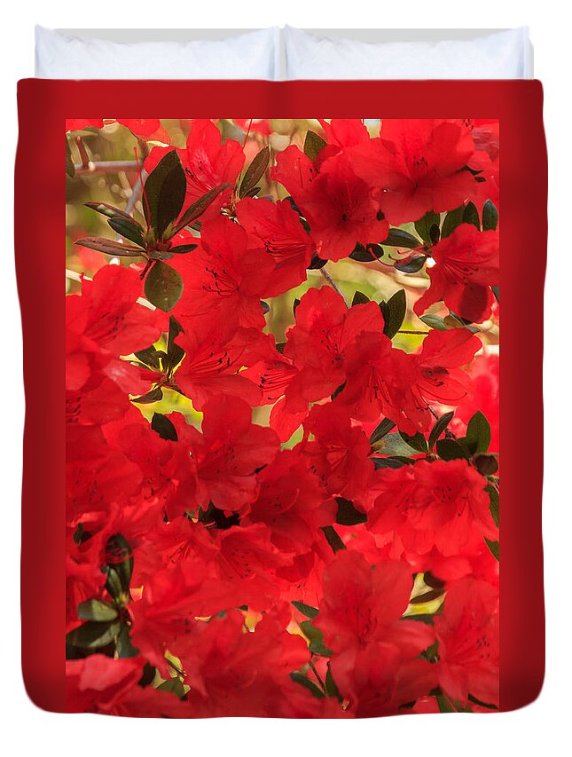 Flower Duvet Cover featuring the photograph Vibrant Azalea by Patricia Schaefer