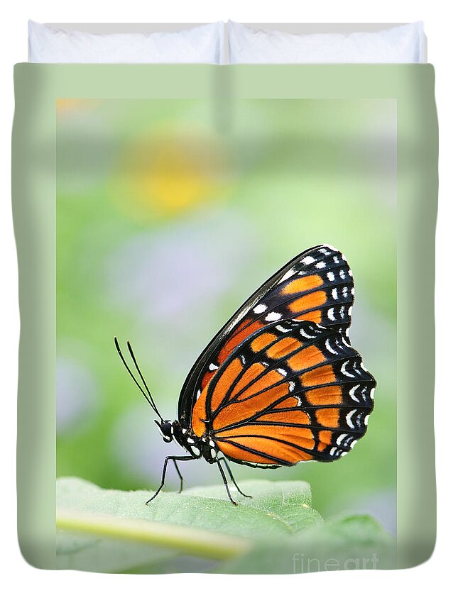 Color Duvet Cover featuring the photograph Viceroy Butterfly 2 by Oscar Gutierrez