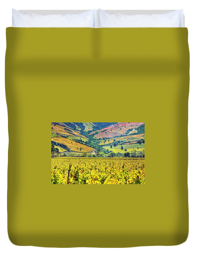Scenics Duvet Cover featuring the photograph Vineyards Hdr - Valle Colchagua by Jorge Leon Cabello