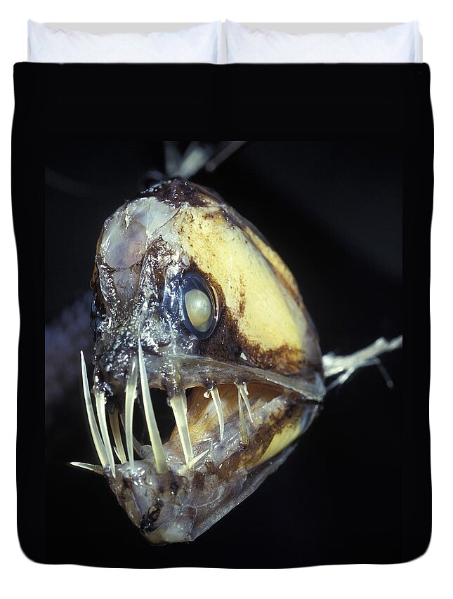 Animal Duvet Cover featuring the photograph Viperfish by Greg Ochocki