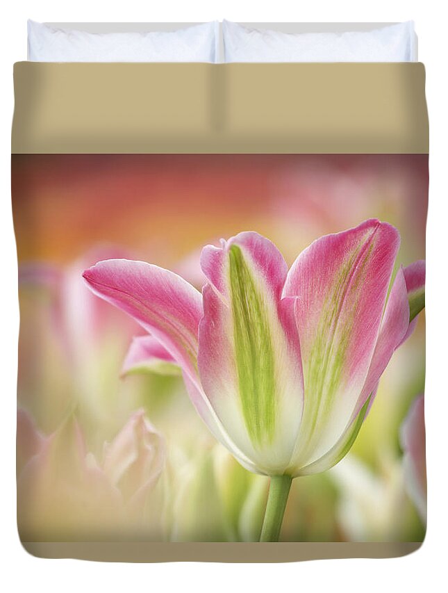 Flpa Duvet Cover featuring the photograph Virichic Tulips by Bill Coster