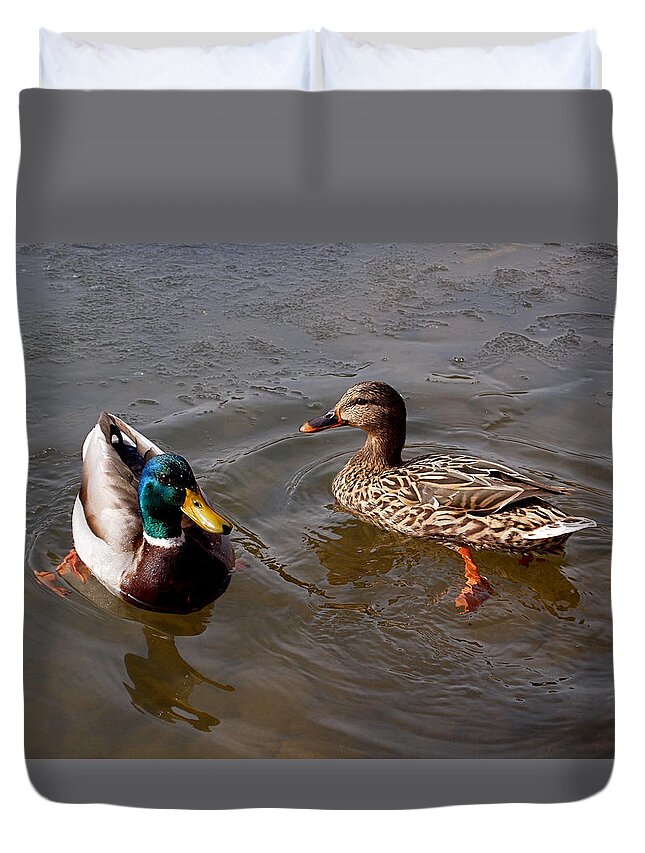 Duck Duvet Cover featuring the photograph Wading Ducks by Rona Black