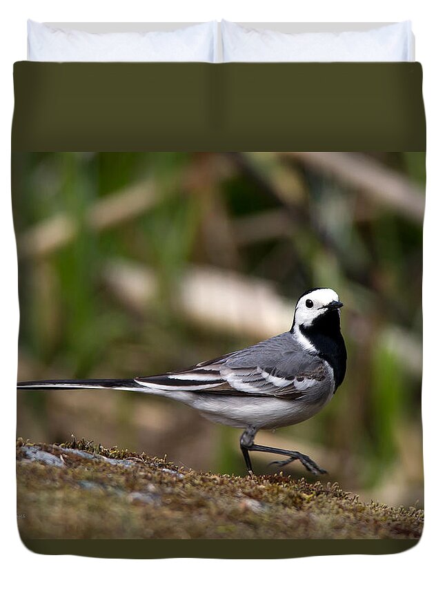 Wagtail's Step Duvet Cover featuring the photograph Wagtail's step by Torbjorn Swenelius