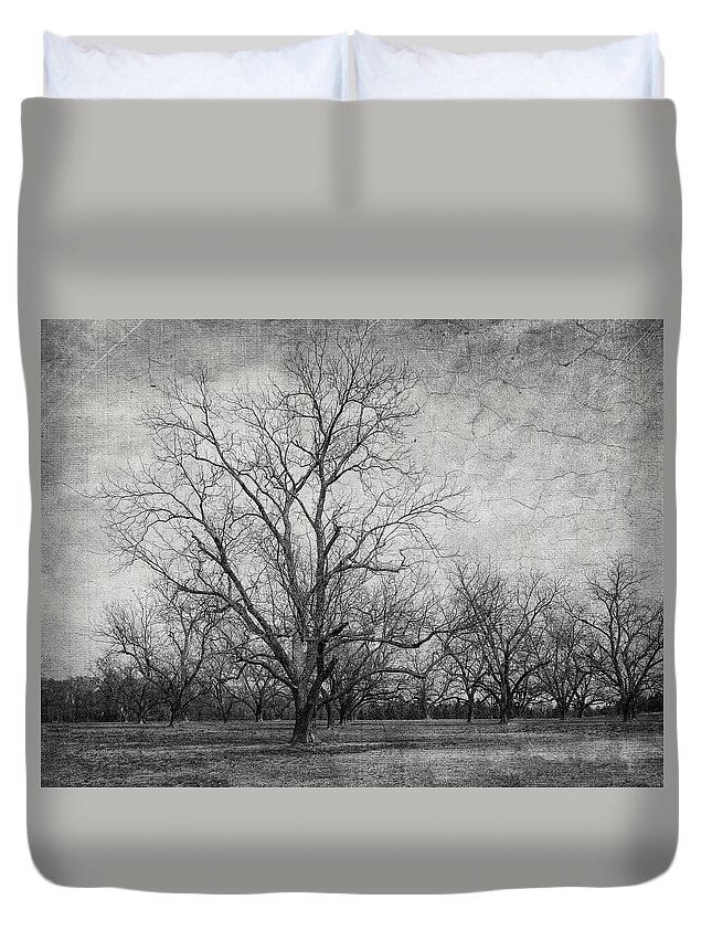 Tree Duvet Cover featuring the photograph Waiting by Kim Hojnacki