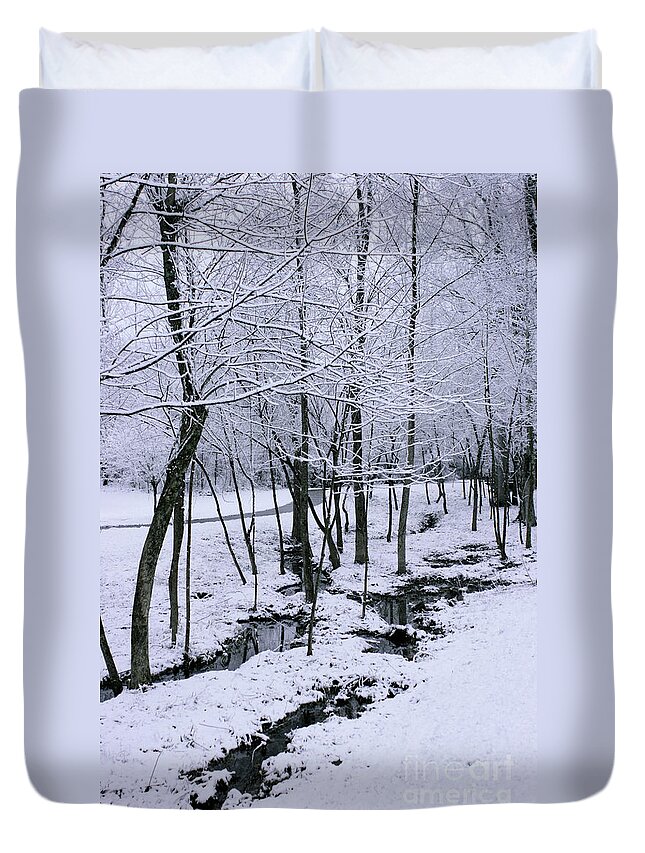 Snow Duvet Cover featuring the photograph Walk in the Snow by Stan Reckard