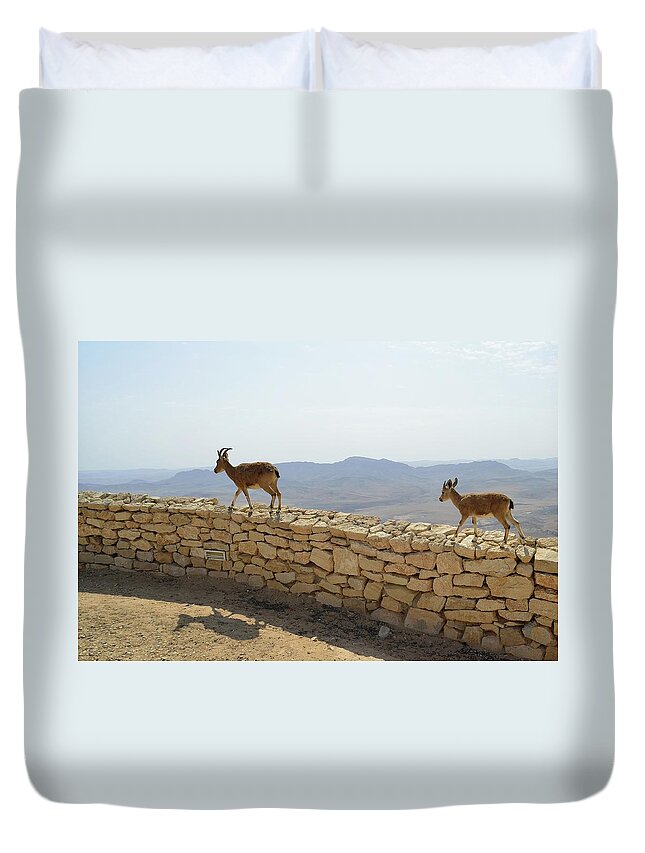 Animal Themes Duvet Cover featuring the photograph Walking On The Edge by Ran Zisovitch