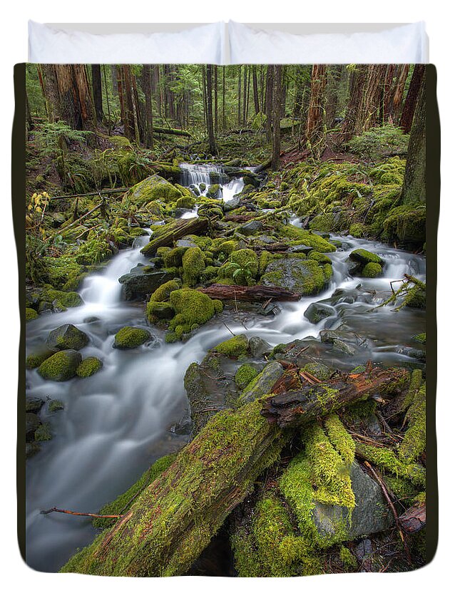 Pacific Northwest Duvet Cover featuring the photograph Walking to Sol Duc by Marco Crupi
