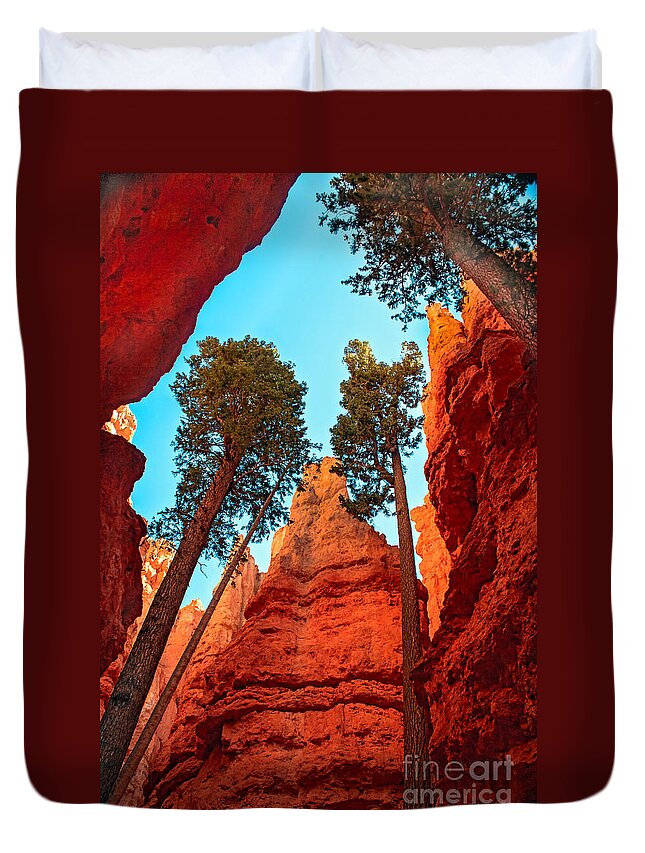  Trees Duvet Cover featuring the photograph Wall Street by Robert Bales