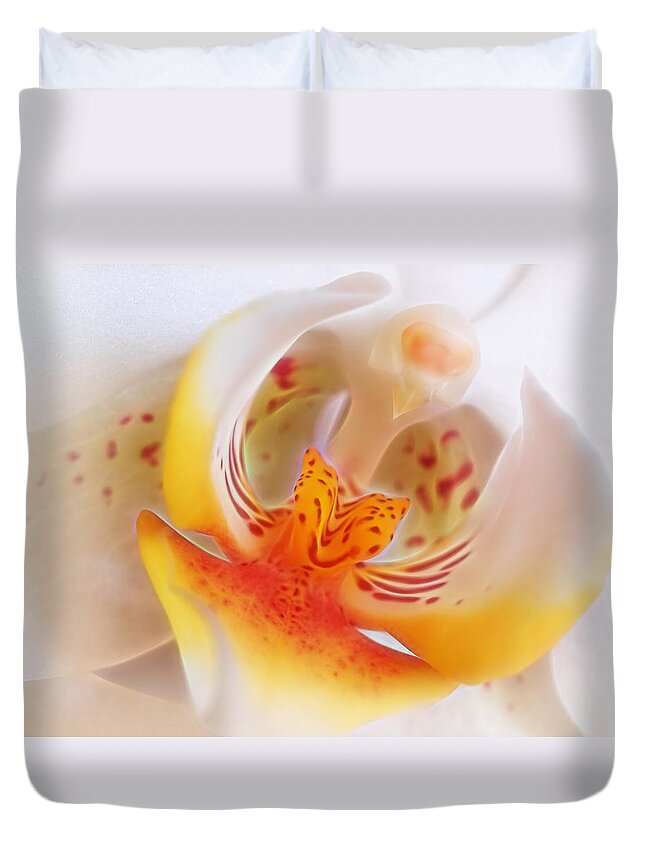 Soft White Orchid Duvet Cover featuring the photograph Warm Glow by Gill Billington