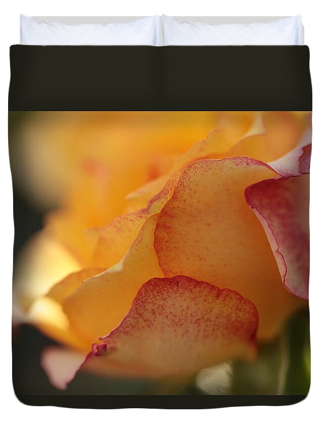 Connie Handscomb Duvet Cover featuring the photograph Warmth by Connie Handscomb