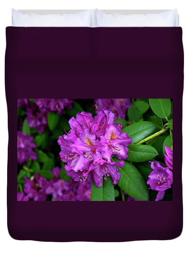 Pacific Northwest Duvet Cover featuring the photograph Washington Coastal Rhododendron by Ed Riche