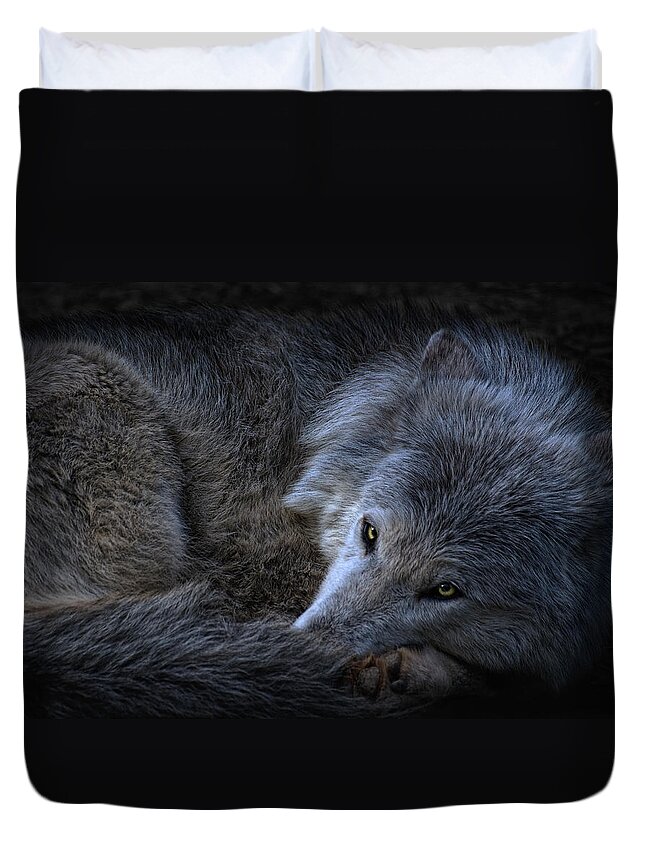 Animal Duvet Cover featuring the photograph Watch Your Back by Joachim G Pinkawa