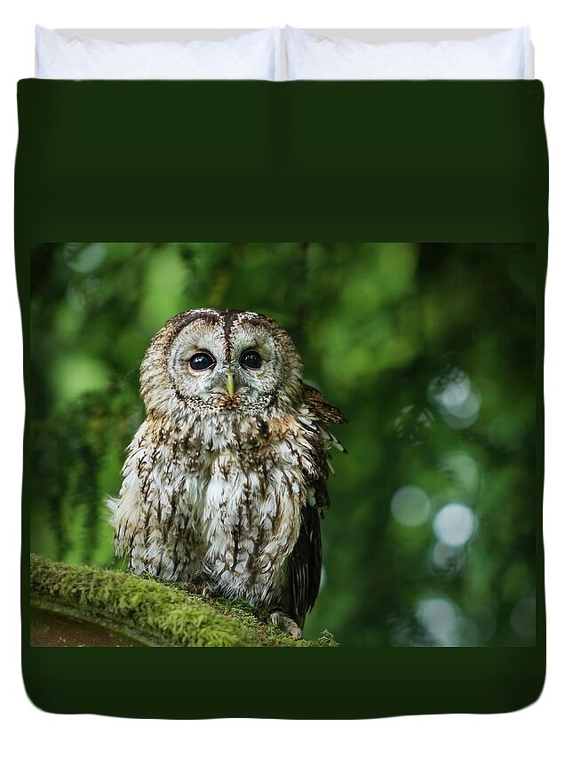 Alertness Duvet Cover featuring the photograph Watchful Owl Outdoors by Tess Axelsson