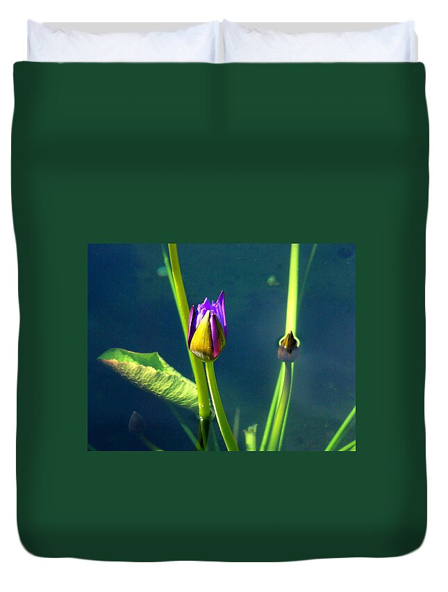 Water Lily Duvet Cover featuring the photograph Water Lily 005 by Larry Ward