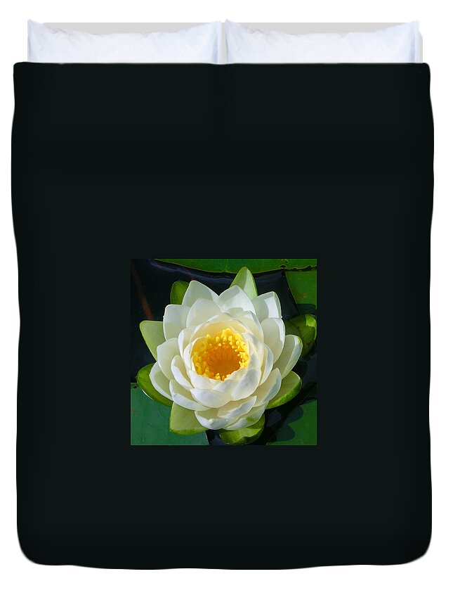 Flowers Duvet Cover featuring the photograph Water Lily by Guy Whiteley