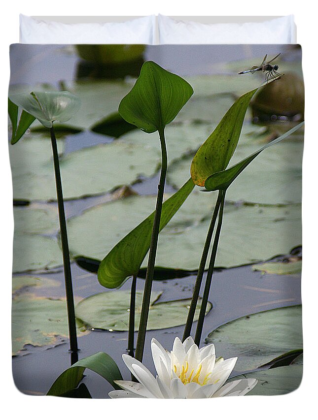 Nature Duvet Cover featuring the photograph Water Lily in Bloom by William Selander